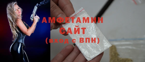 шишки Пересвет
