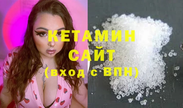 шишки Пересвет