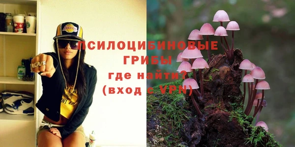 Альфа ПВП Алексин
