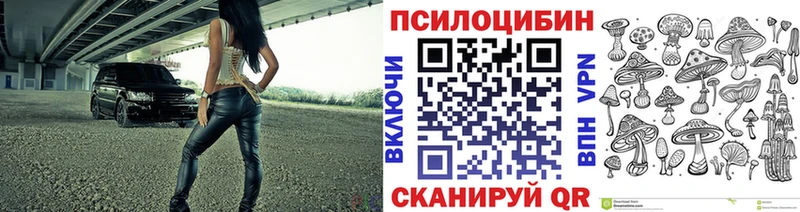 Галлюциногенные грибы Cubensis где продают наркотики Артёмовск
